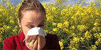 Allergische Rhinitis Allergische Rhinitis